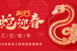 辭舊迎新，蛇舞華章丨深圳容金科技全體員工祝您新春快樂！