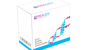 對(duì)蝦傳染性肌肉壞死病毒(IMNV)RNA恒溫核酸檢測試劑盒（不含提?。? height='100'>
			</a>
		</figure>
		<h4 class=